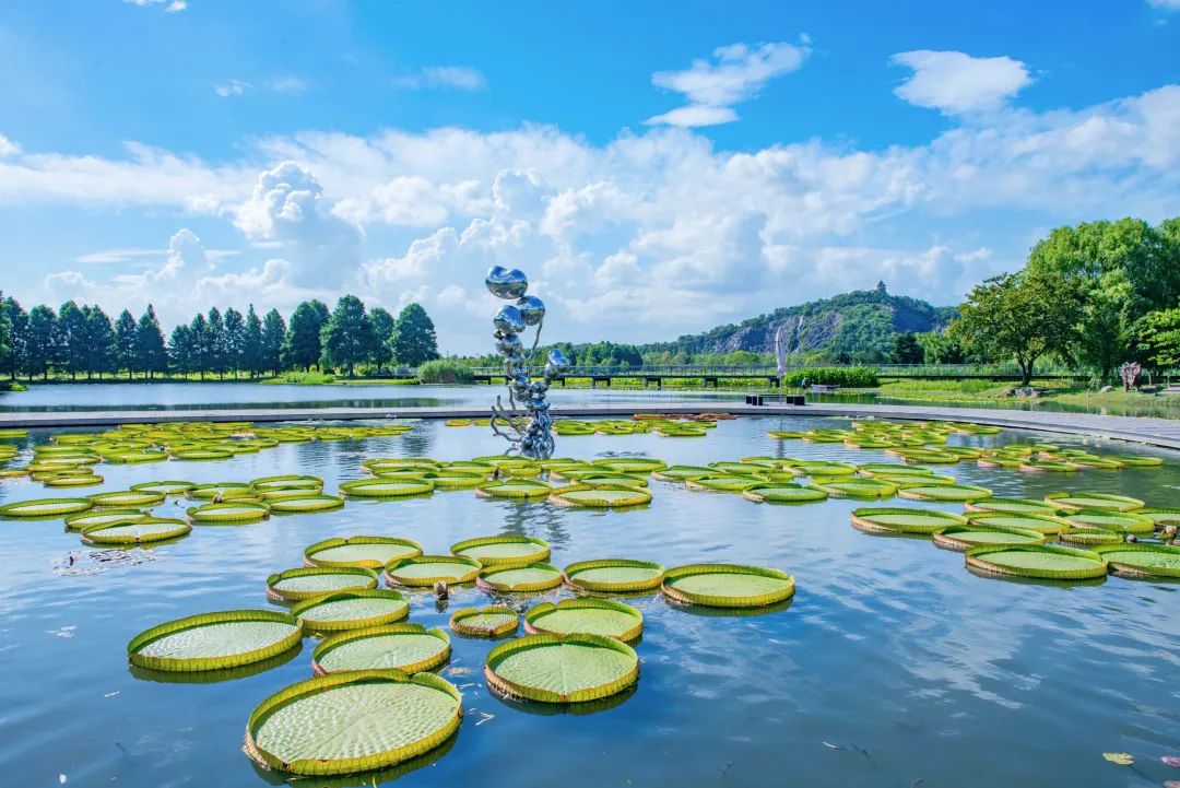 神奇植物园小说_神奇植物园景观设计_神奇植物园ar