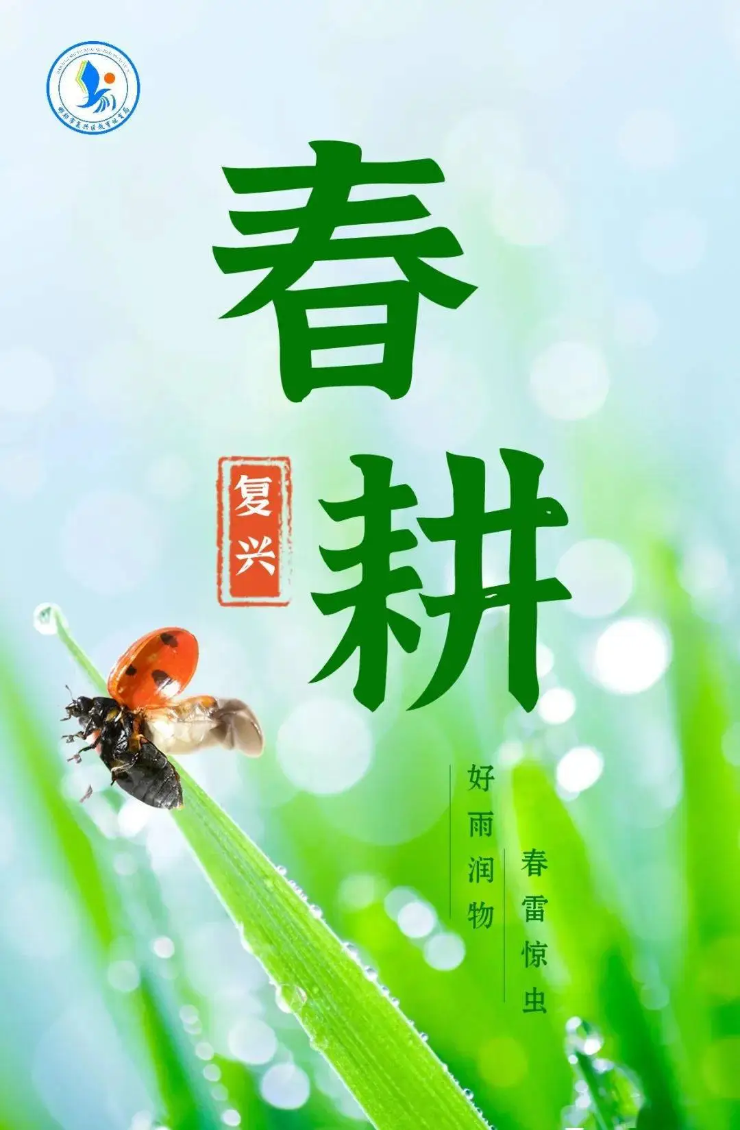 pspkvm_pspkvm怎么用_psppspkvm