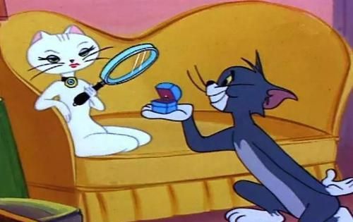 小汤姆猫：可爱萌宠生活大揭秘