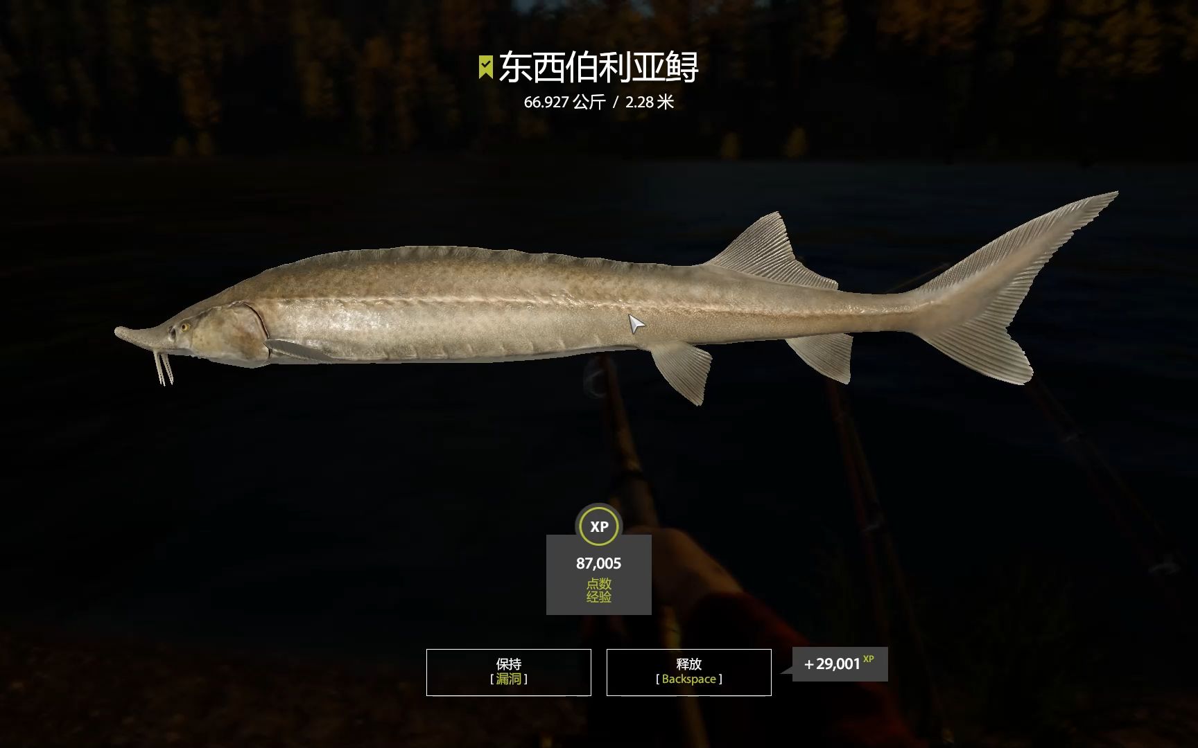 钓鱼频道在线观看_极限钓鱼第一季中文字幕下载_钓鱼季节破解版