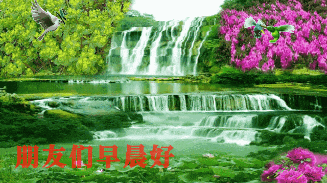 李静所有肚皮舞视频_李静老师肚皮舞教学视频_肚皮舞李静