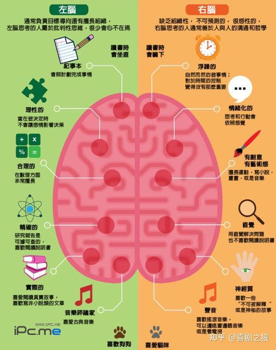 你的右脑发达吗?-探索右脑奥秘：普通上班族的惊人变化