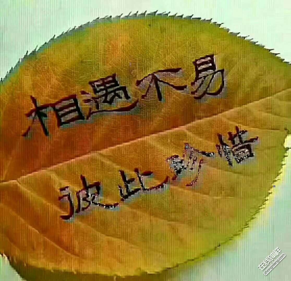 歌曲《年华似水》_李宇春似火年华歌词_年华歌词李宇春似火是什么歌