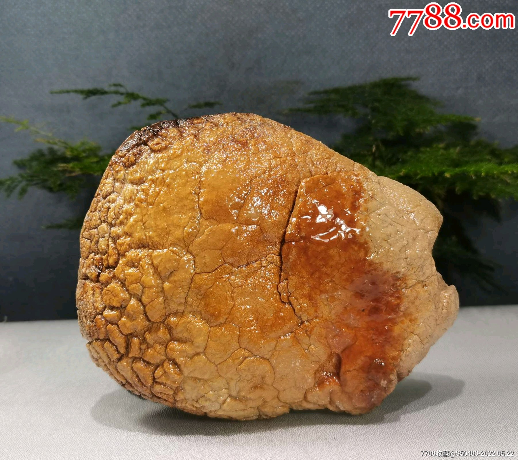 彩虹岛蛋白石在哪里挖-彩虹岛蛋白石大揭秘！挖矿地点、技巧一次get