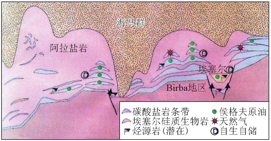 中国典型叠合盆地油气聚散机理与定量模拟_中国典型叠合盆地油气聚散机理与定量模拟_中国典型叠合盆地油气聚散机理与定量模拟