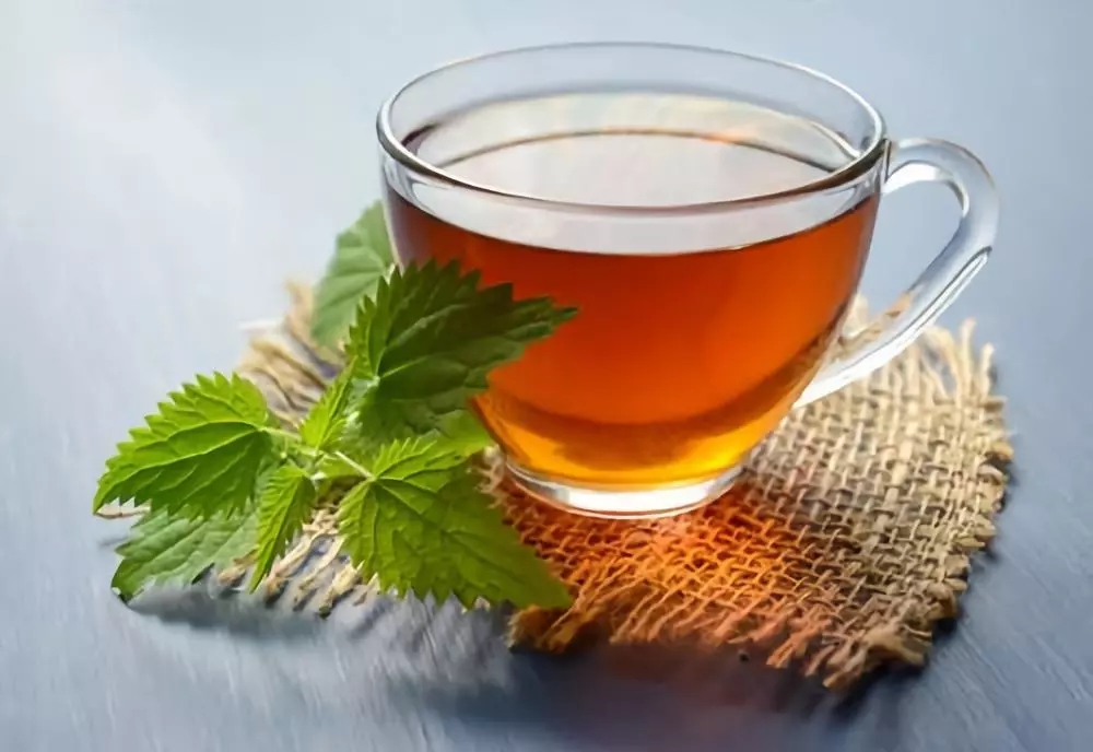 甘和茶的功效与作用_甘茶功效作用与主治_甘茶功效作用和主治