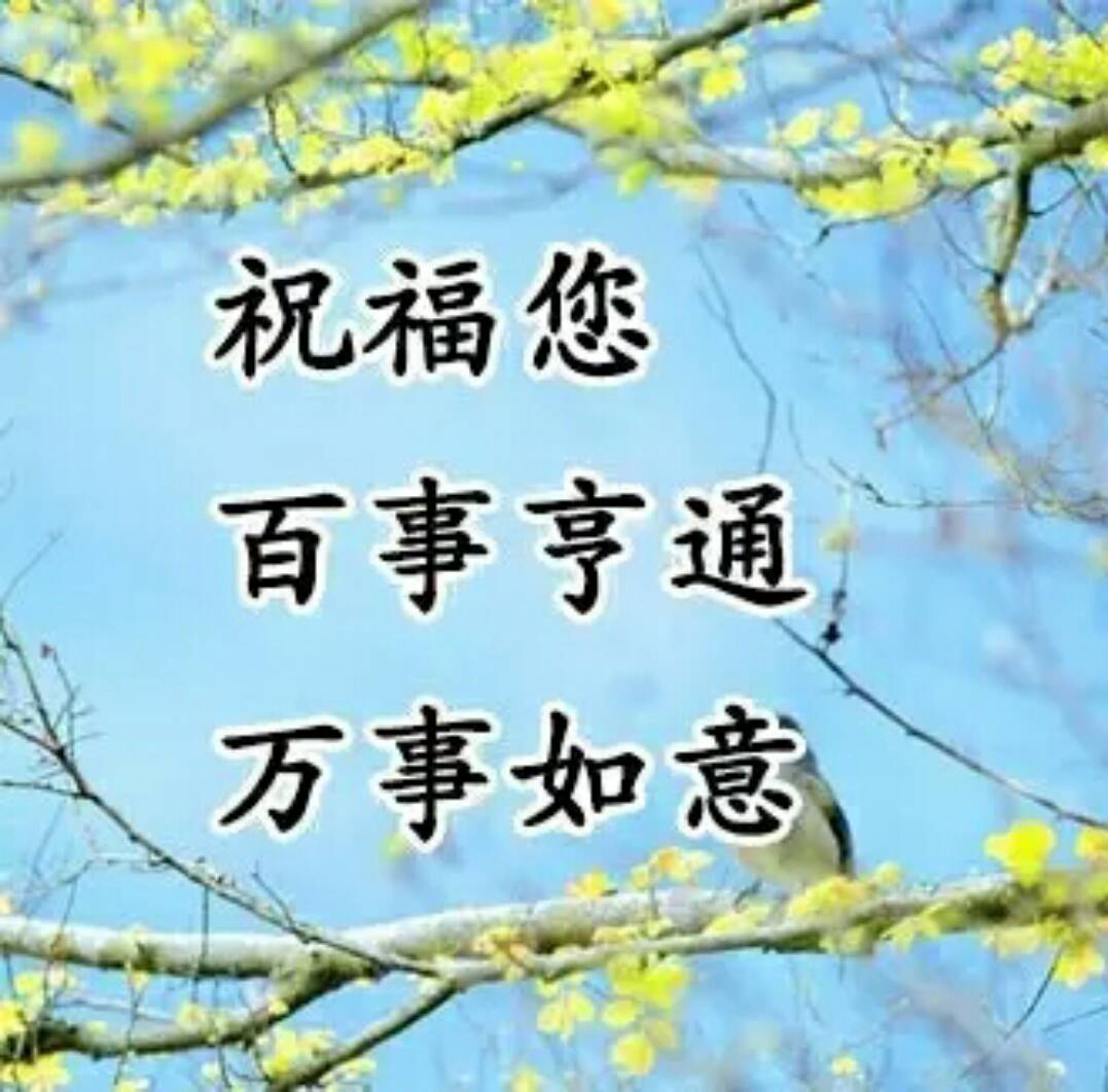 祝福新年的英文邮件-校长亲授！新年祝福邮件英文写作大揭秘