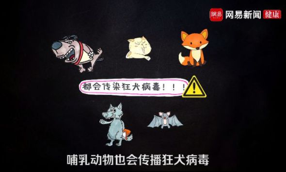 末世兽医免费下载_末世兽医作者怎么了_末世兽医txt下载