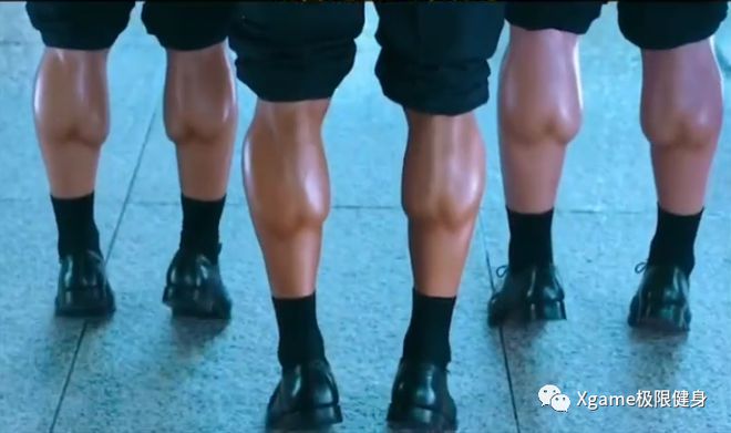ox腿长什么样图_腿长图解_腿长照片头像
