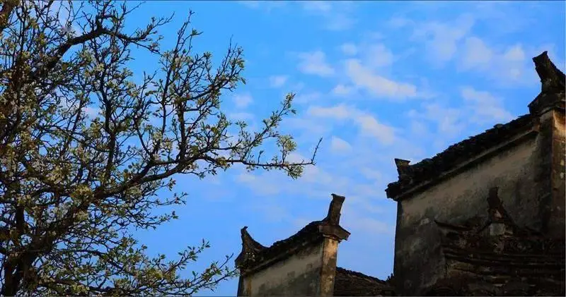 封印师传奇-小镇木匠的神秘力量：封印师阿宁的奇迹之旅