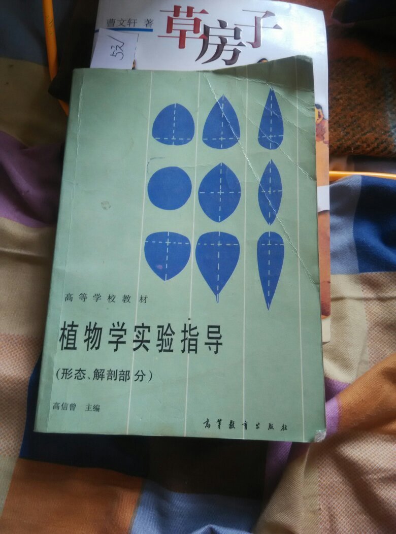 stanley博士的家1在线_stanley博士的家1在线_stanley博士的家1在线