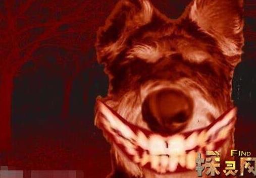 西方世界的劫难2菲欧娜_西方劫难3菲奥娜_西方劫难世界隐藏英雄