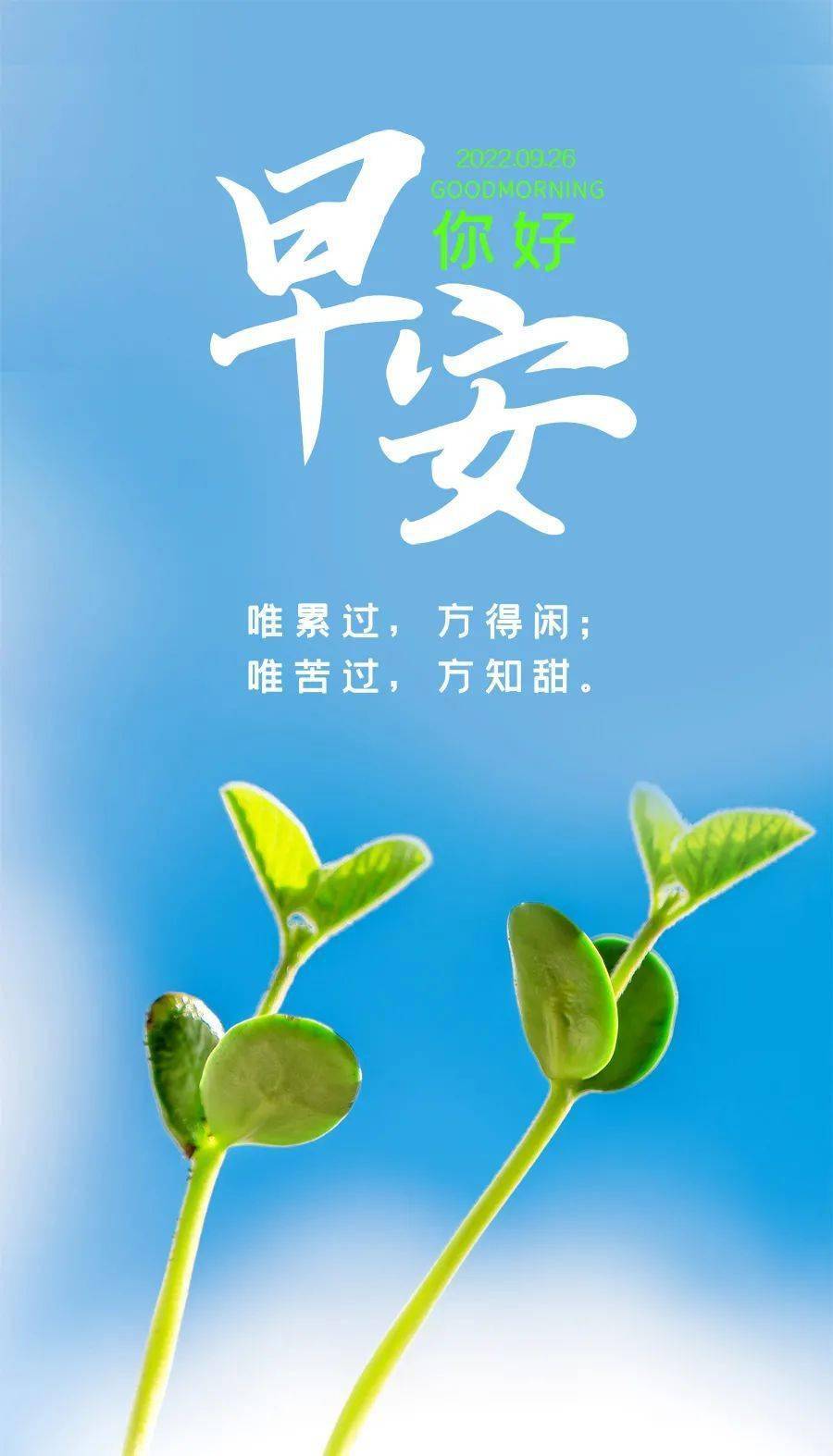 网络小胖哪里人-湖南长沙出品，网红小胖的真实生活揭秘