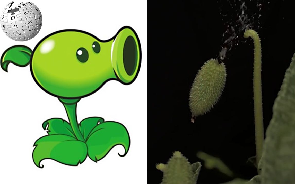 我的世界植物大僵尸版_僵尸植物世界大战第三集_植物僵尸大僵尸