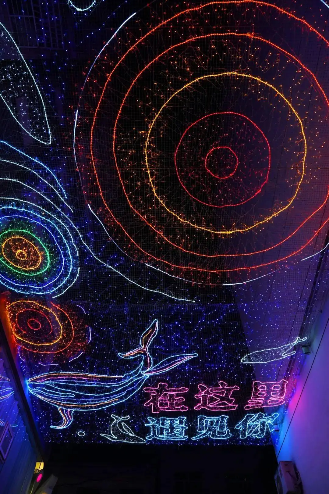 qq炫舞签到找不见了_51新炫舞签到_炫舞签到在哪里领取