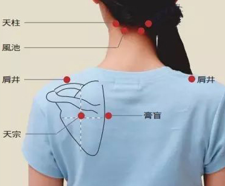 脖子有颈纹相学_脖子上有颈纹面相好吗_面相脖子好上有颈纹好不好