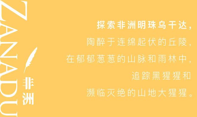 小兔跳铃铛_原版跳铃铛兔子舞视频_兔子跳铃铛原版