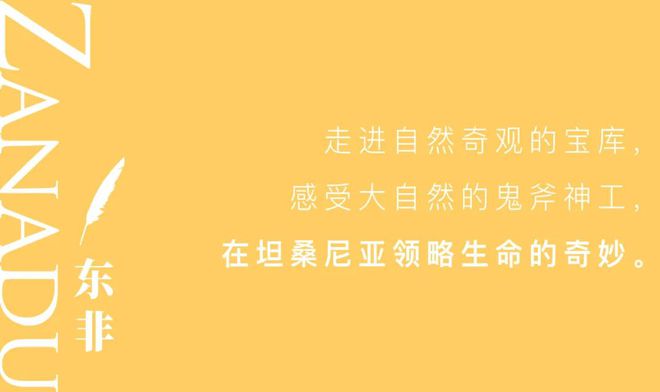 双叶葵壁纸_双叶葵裸体_森川葵壁纸