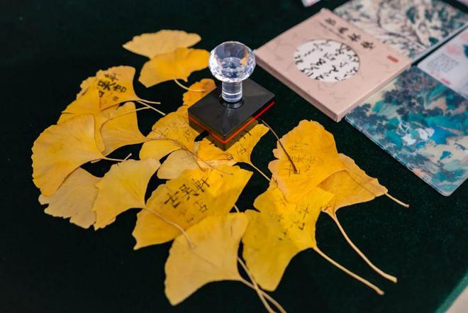 森川葵壁纸_双叶葵壁纸_双叶葵裸体
