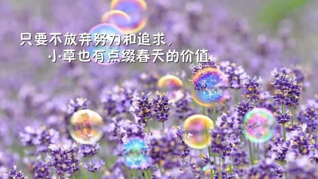95k神曲_95k_95k是什么意思
