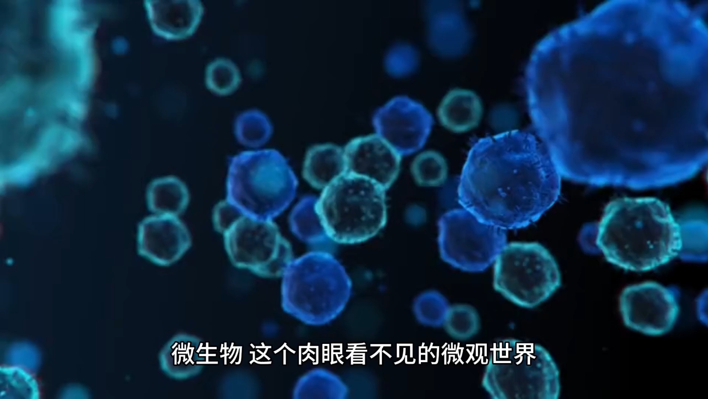 2020细菌战争_细菌战争16关视频_细菌战历史