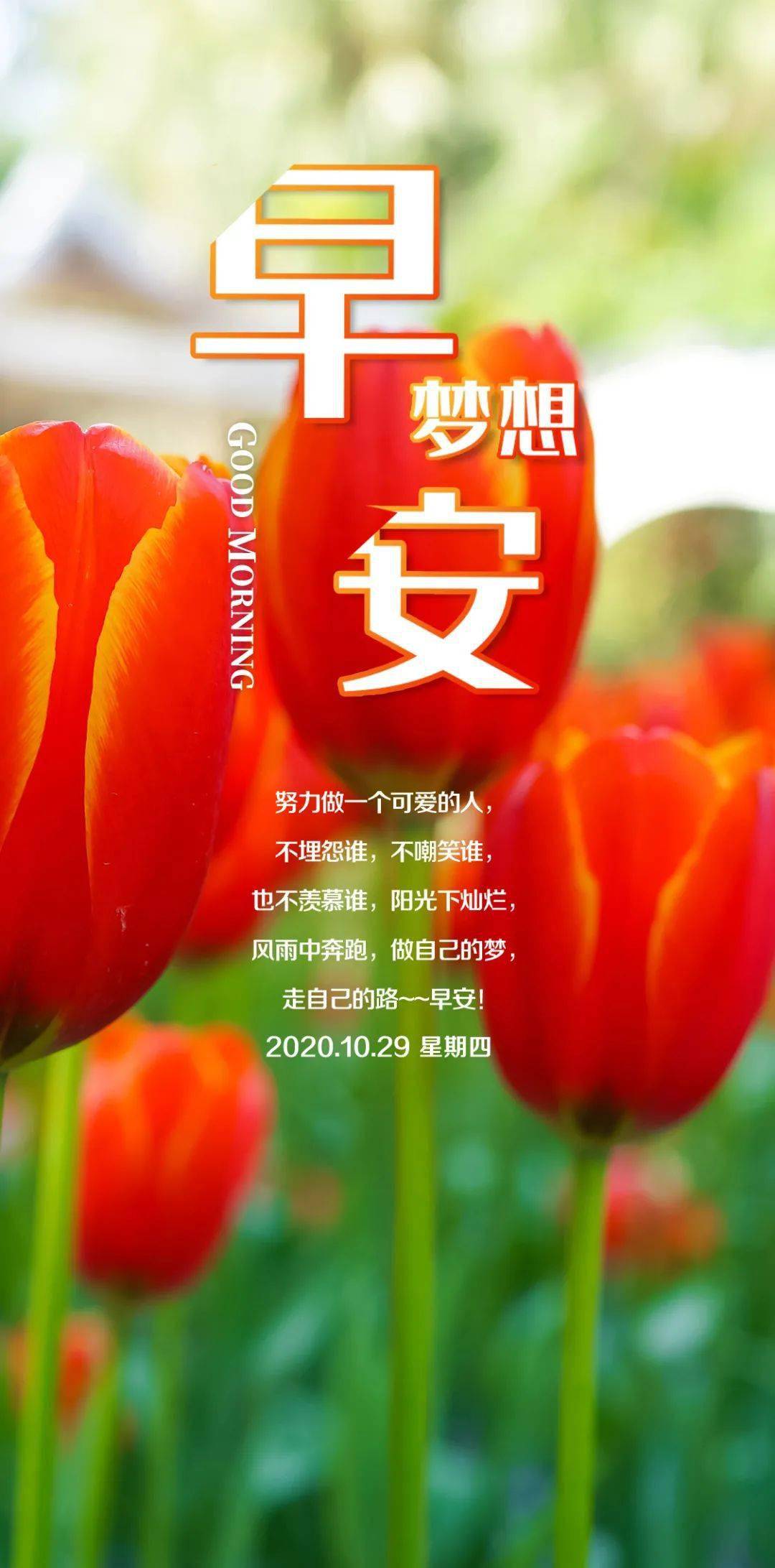 彩图库区全年_彩图库彩图1861_六 合 彩 图库