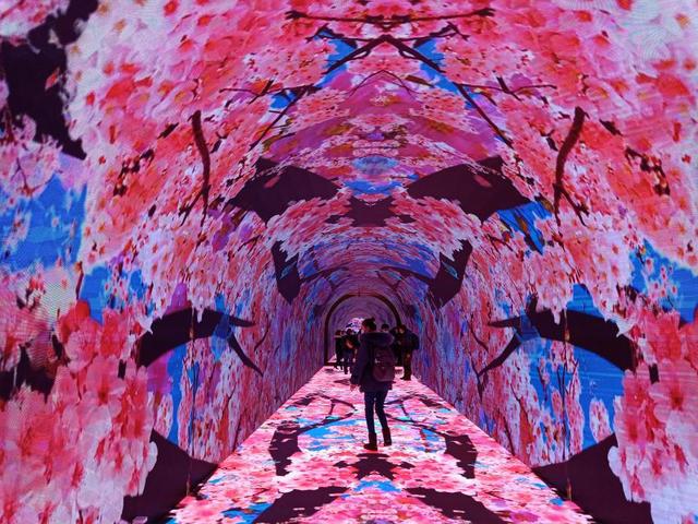 随心的穿越之旅_随心旅行的意思_随心之旅
