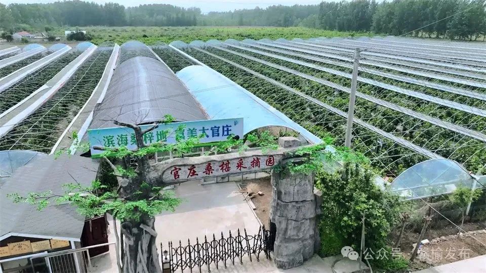 中赵甫村妇幼保健医院_北京市大兴区采育镇后甫村_燕郊中赵甫卫生院