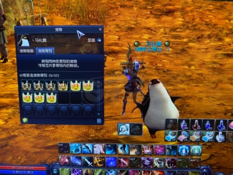 永恒之塔弓星攻略_永恒之塔弓星装备_永恒之塔2.7版本弓星