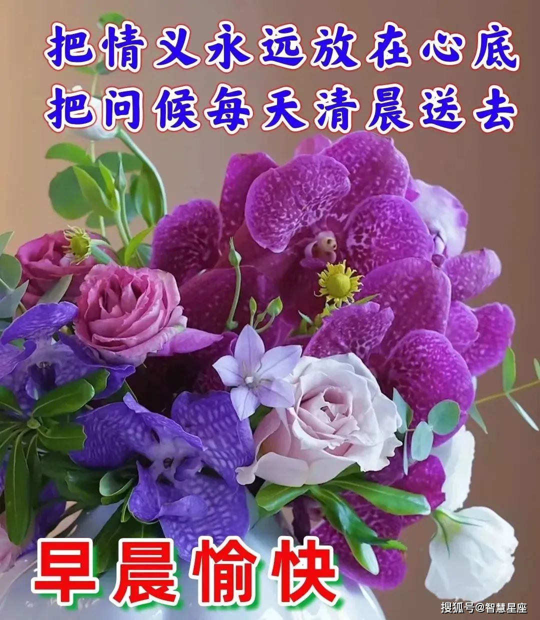 剑灵命运真气石：战斗旅程中的心灵支柱与力量源泉