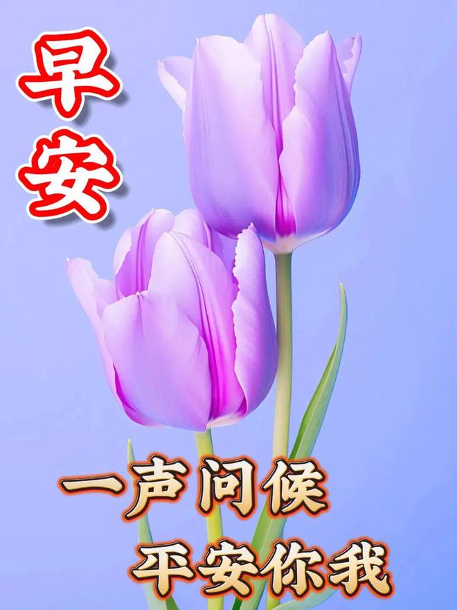 剑灵真气石怎么做便宜_剑灵命运真气石_剑灵真气石不是本职业的