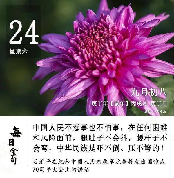 剑灵命运真气石_剑灵真气石怎么做便宜_剑灵真气石不是本职业的