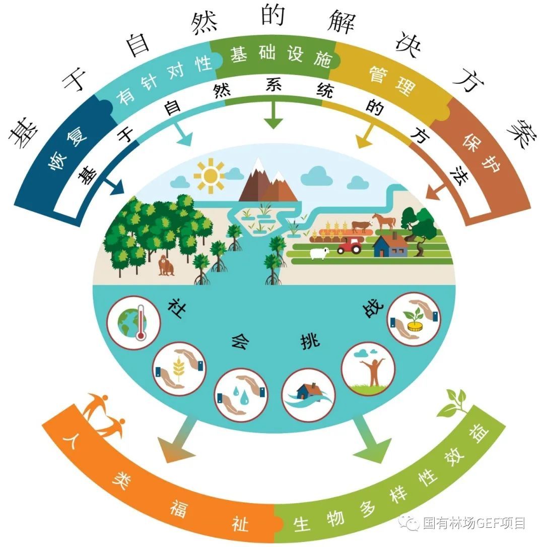 真菌世界安卓怎么玩-真菌世界：独特策略游戏，体验生态系统的复