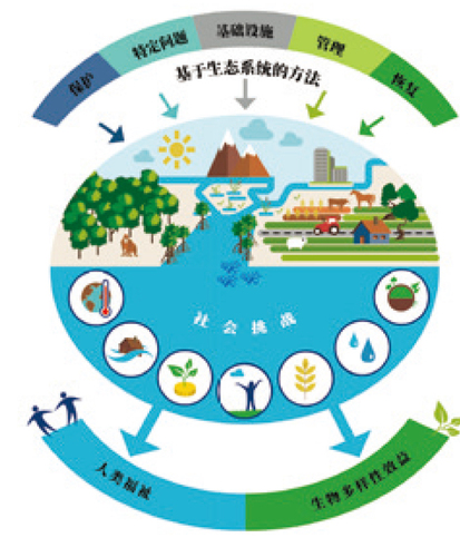 真菌世界安卓怎么玩_真菌世界玩不了_真菌世界安卓汉化补丁