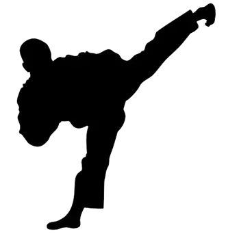 儿童画跆拳道_跆拳道儿童简画_跆拳道简笔画幼儿