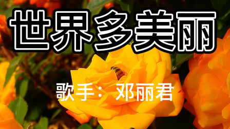 古丽米娜初赛视频_古丽米娜比赛视频_古丽米娜决赛舞蹈