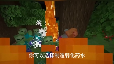 整合包的mod怎么用_我的世界162mod整合包_我的世界整合包模式