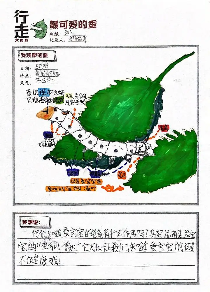 用手就能点燃的火柴_指点燃火柴手用什么成语_如何用手指点燃火柴