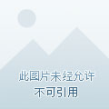 八卦剑灵牌选择攻略_八卦剑灵牌选择方法_剑灵 八卦牌选择