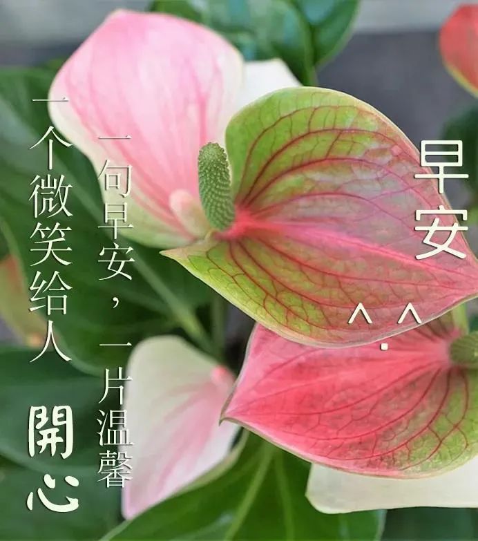 超级乐者 背景音乐_超级乐者 背景音乐_超级乐者 背景音乐