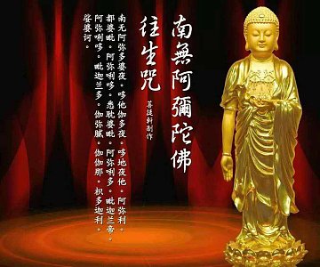 普陀山礼佛一日游路线_普陀山礼佛宣传视频_南普陀在线礼佛网