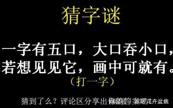 猜字连成一句话的谜语_猜字谜连成一句话祝福_谜语连起来一句祝福语