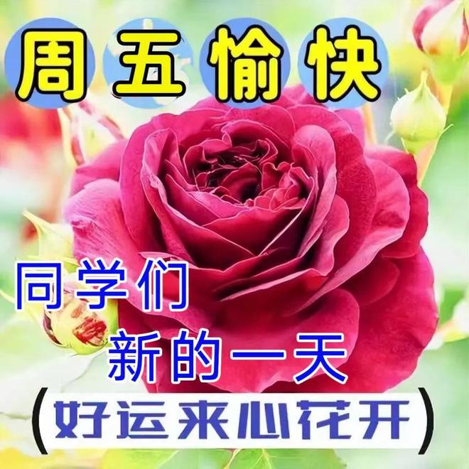 汽车上午8点30分_一辆汽车上午8时从_汽车上午9点出发下午2点到