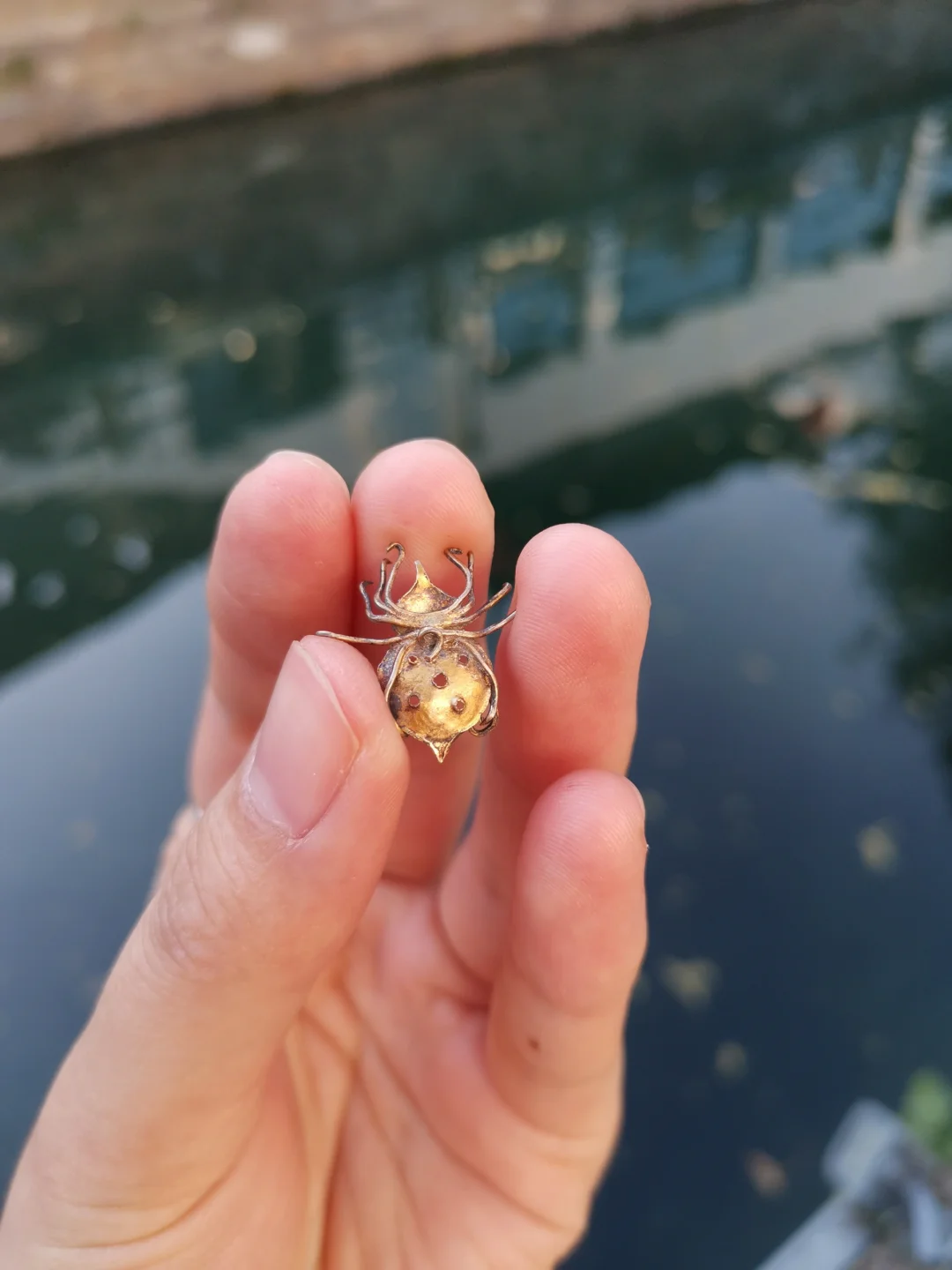 救援野生动物_野生营救动物园迭戈图片_迭戈野生动物园营救