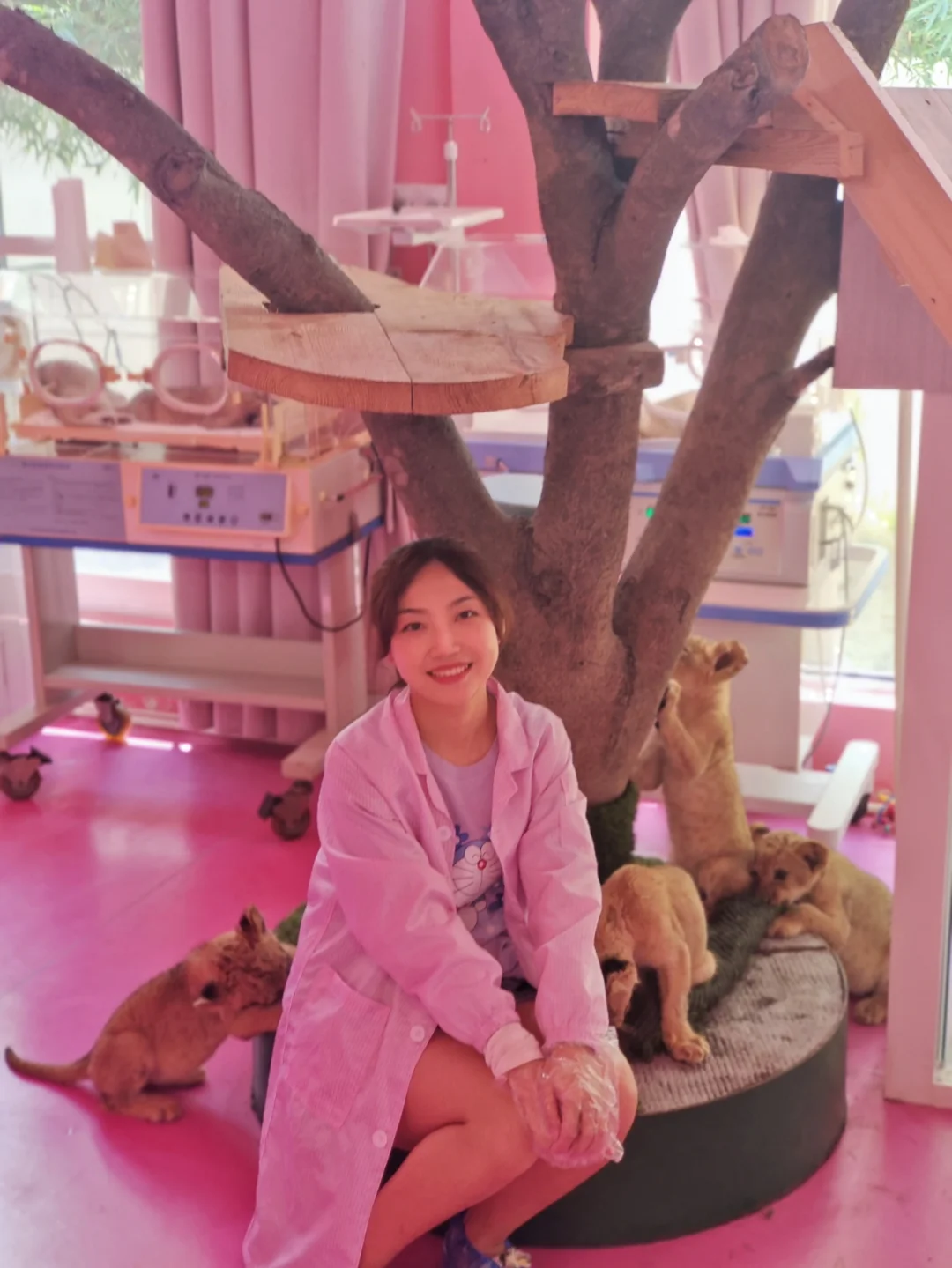 野生营救动物园迭戈图片_迭戈野生动物园营救_救援野生动物