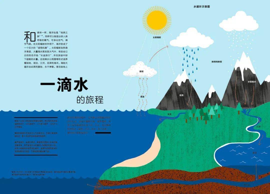 analogous_judge_Analogous是什么意思