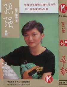 我才不在意是什么歌,揭秘流行歌曲背后的情感故事