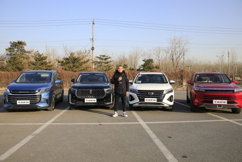 试驾自主品牌汽车,体验创新与品质提升之旅”